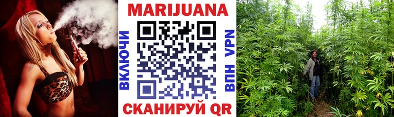 Альфа ПВП Котлас