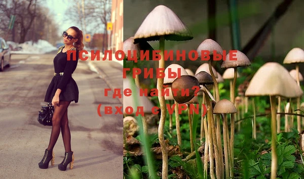 марки lsd Белоозёрский
